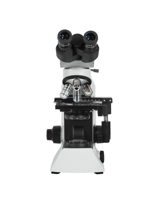 MX21i