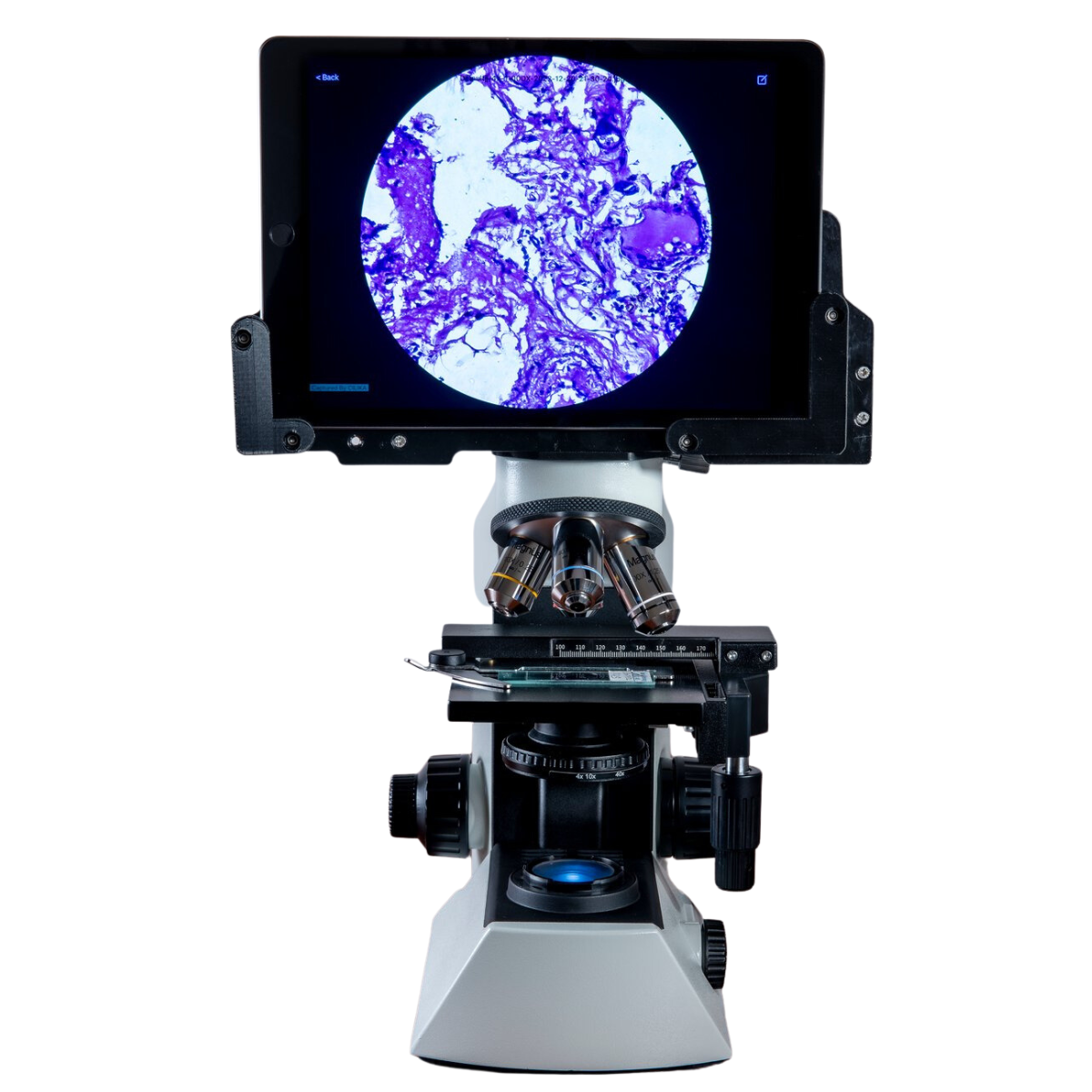 ダイナミックベイヤードmx330 Sonnax Transmission Company T3-3-3931HP Sonnax Slip Yokes