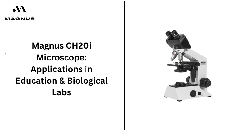 Magnus CH20i Microscope: Applications in Education & Biological Labs