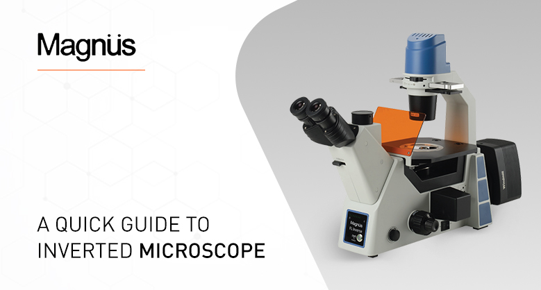  A Quick Guide to Inverted Microscope