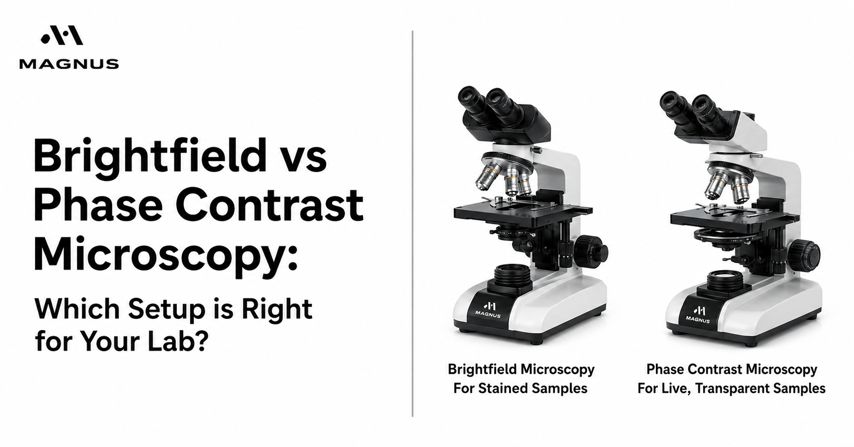 Brightfield vs Phase Contrast Microscopy: Which Setup is Right for Your Lab? 