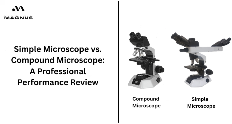 Simple Microscope vs. Compound Microscope: A Professional Performance Review