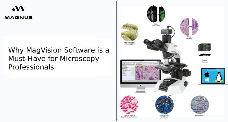 Why MagVision Software is a Must-Have for Microscopy Professionals