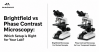 Brightfield vs Phase Contrast Microscopy: Which Setup is Right for Your Lab? 