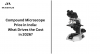 Compound Microscope Price in India: What Drives the Cost in 2026?