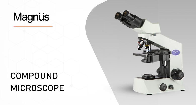 Compound Microscopes by Magnus