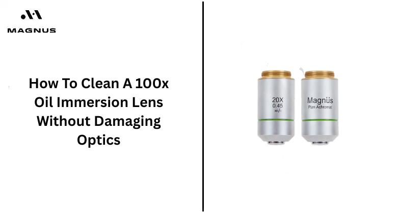 How To Clean A 100x Oil Immersion Lens Without Damaging Optics