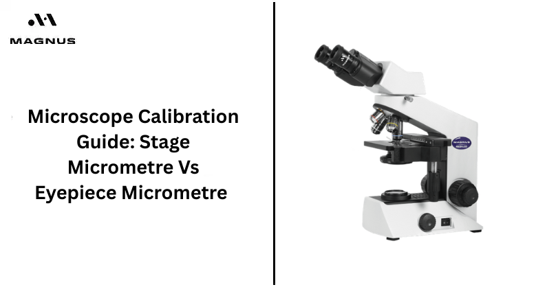 Microscope Calibration Guide: Stage vs Eyepiece Micrometre