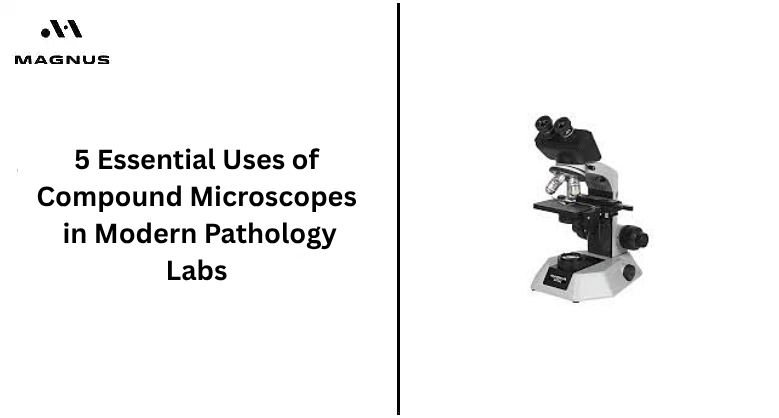 5 Essential Uses of Compound Microscopes in Modern Pathology Labs