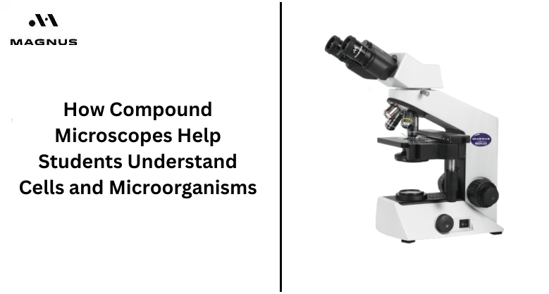 How Compound Microscopes Help Students Understand Cells and Microorganisms