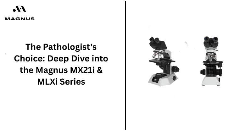 The Pathologist's Choice: Deep Dive into the Magnus MX21i & MLXi Series