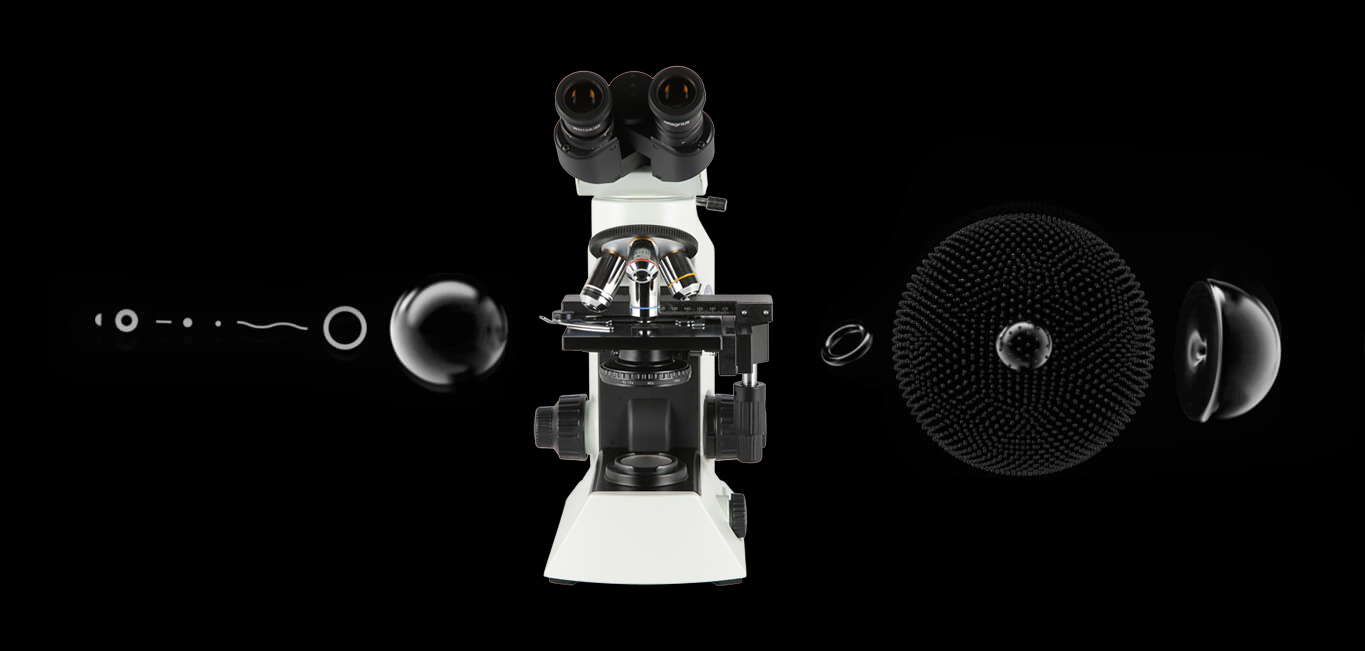 Banner_Microscopes_Magnus