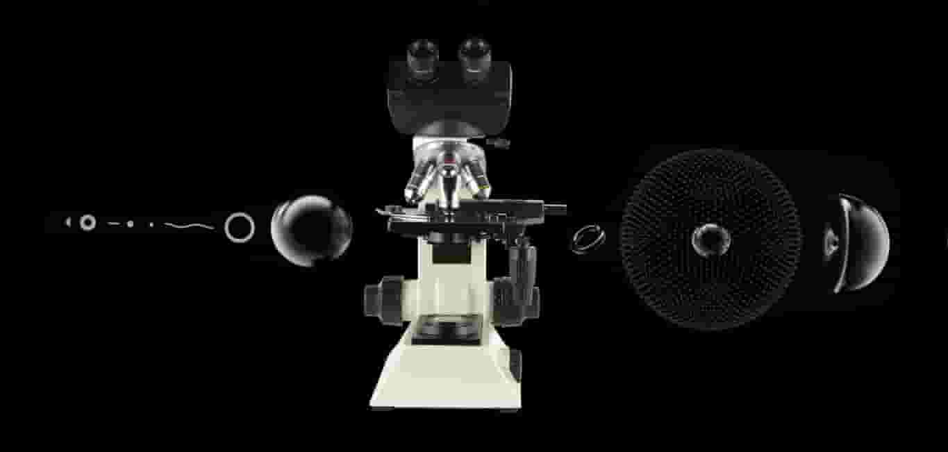 Banner_Microscopes_Magnus
